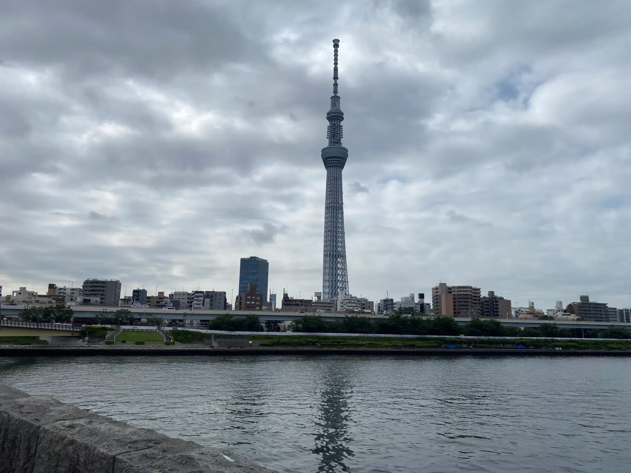 隅田川越しに見た東京スカイツリー